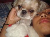 iquel