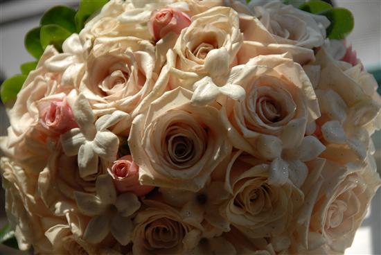 LatinLady-Bride