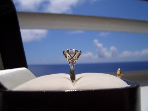 ellie424