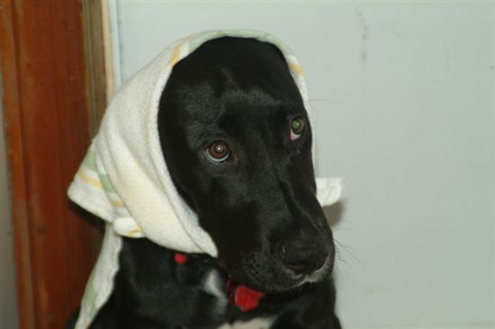 stinenandy2010