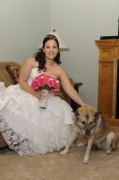 mcbride62009