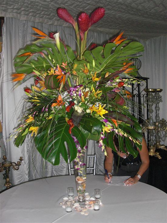 Hoda2010