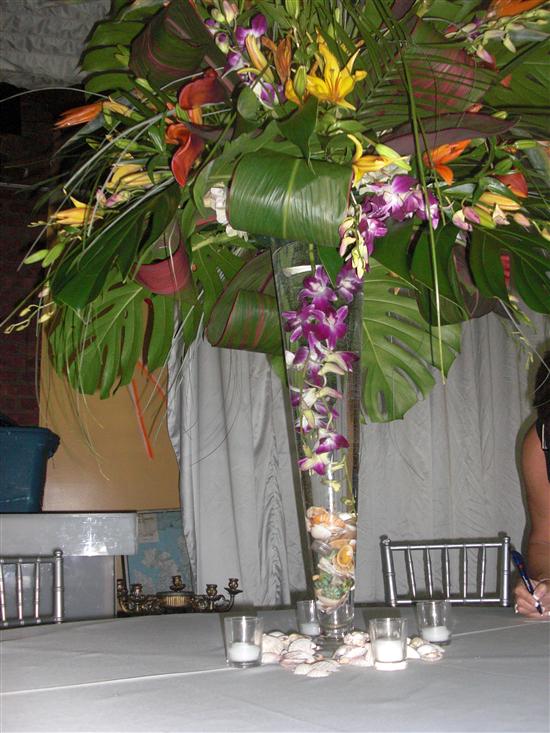 Hoda2010