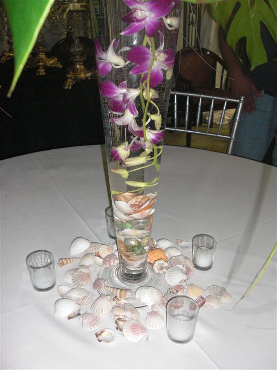 Hoda2010