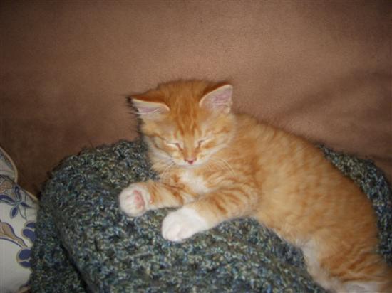 mrsdraskin2009