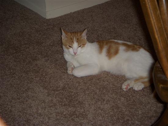 mrsdraskin2009