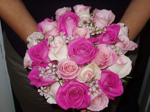 cynthia_castaldo