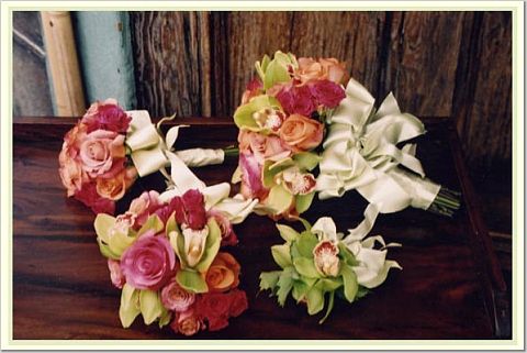 petunia77
