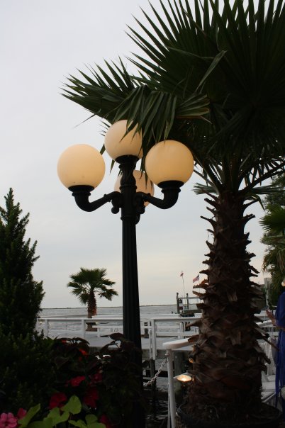 Tomlaur0808