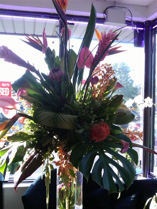 oktropical