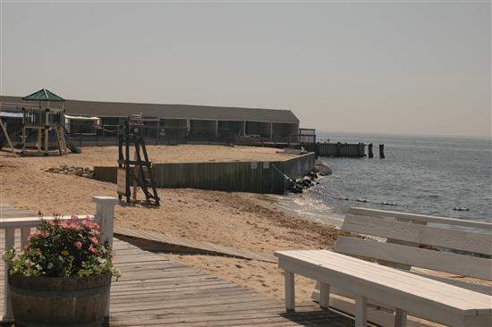 MLAngelo
