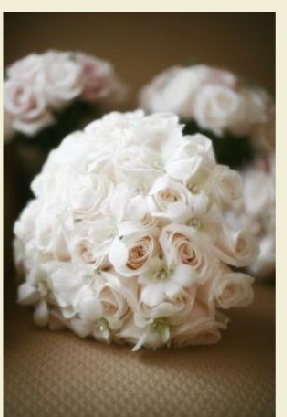 Trose
