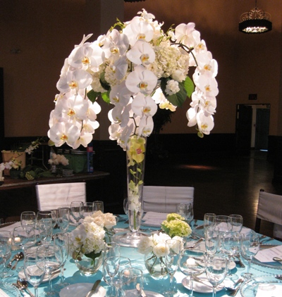 Bridezillatorre