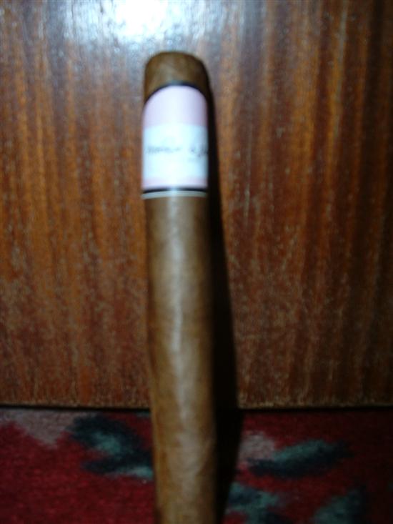Swan06