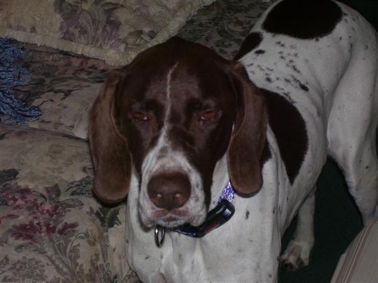 mrsdraskin2009