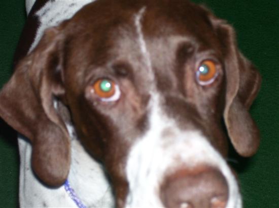 mrsdraskin2009