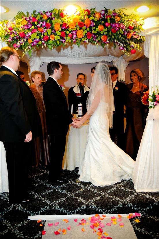 Amor2009