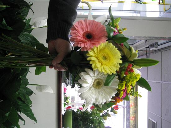 LouMar2010