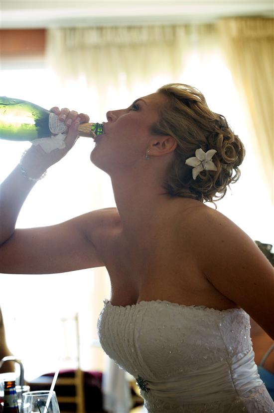mayabear