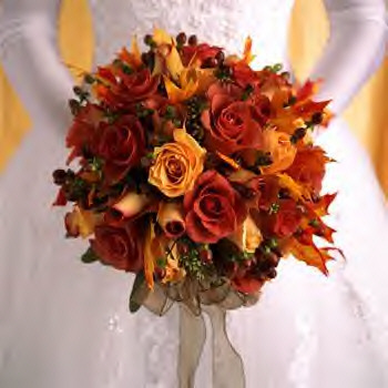 tonia1001