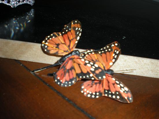 bubberflys