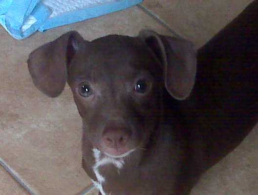bebita0830