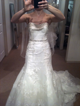 hollywedd