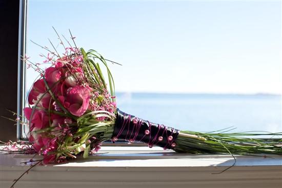 The Cassie