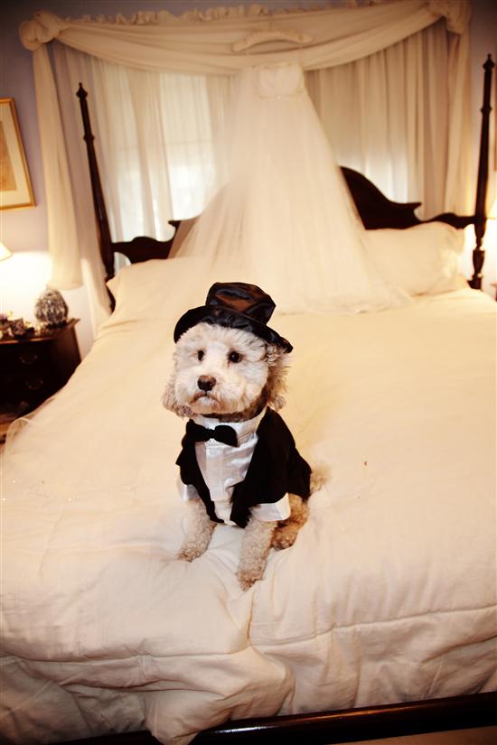 bride2be1012