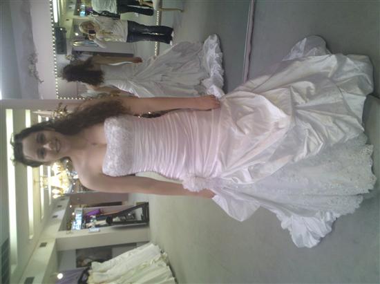 Allie VB