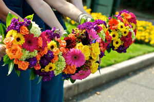 florafauna