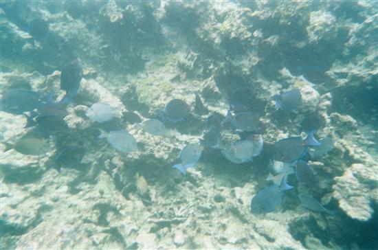 LaBellaVita622