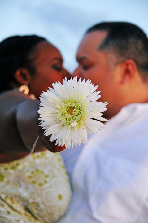 DeJaVuBride512