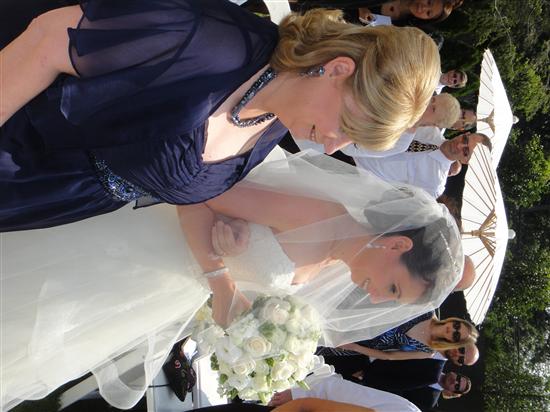 hollywedd