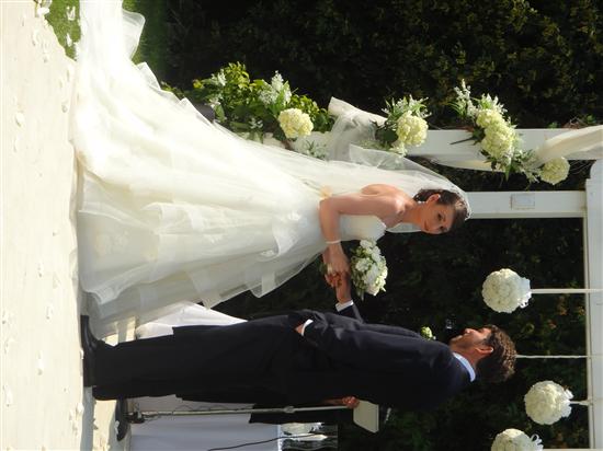 hollywedd