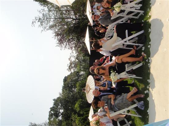 hollywedd