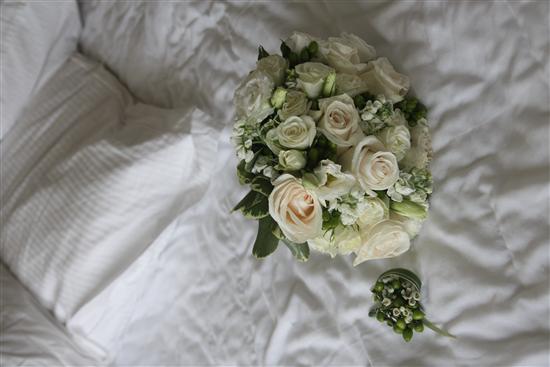 hollywedd