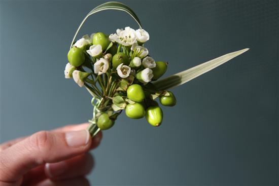 hollywedd