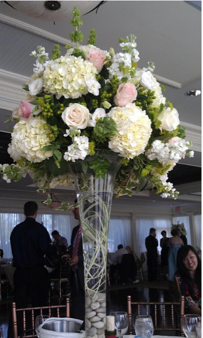 hollywedd