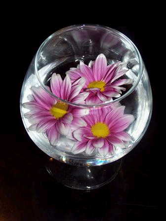 FLaCaTaCa