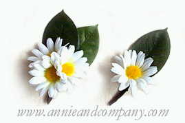 FLaCaTaCa