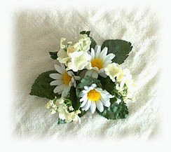 FLaCaTaCa