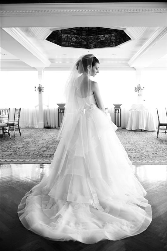 hollywedd