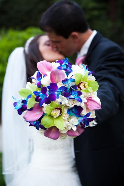 bella_bride