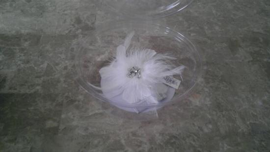 kkbride