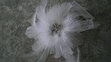 kkbride
