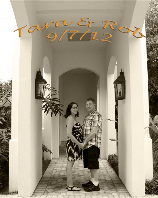 tara5533