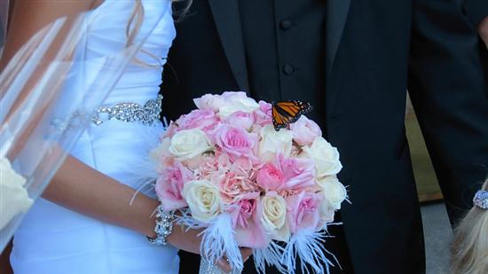 flutterbybride