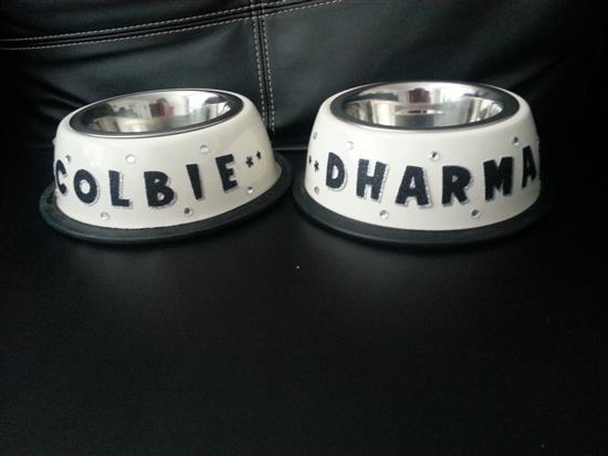 DharmaColbie86