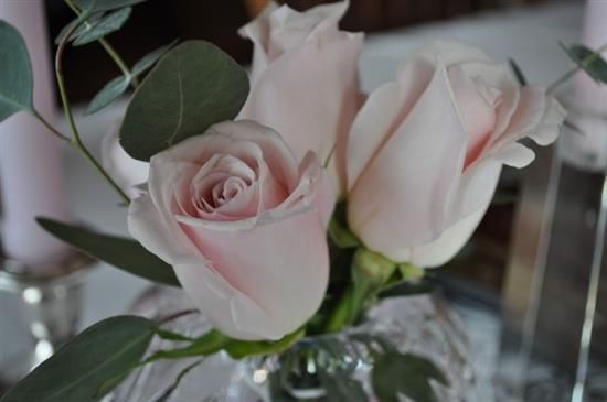 fdnybride163